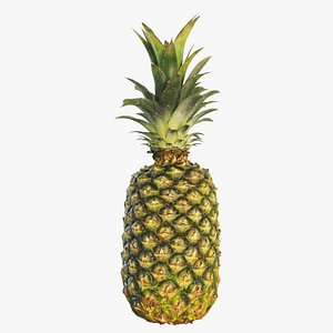 4k Pineapple 3D model
