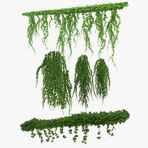 ivy branches hanging 3D model