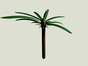 3d max palms trees