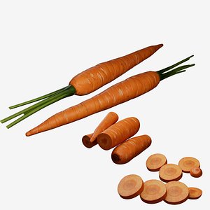 Carrot Photorealistic Low poly 3D model