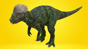Pachycephalosaurus model