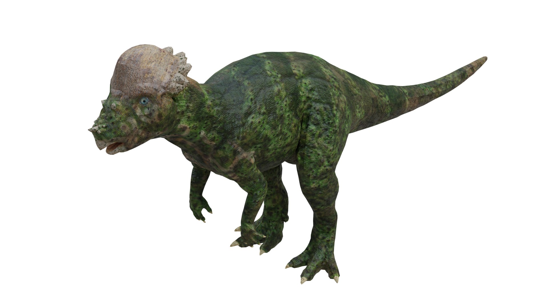 Pachycephalosaurus Model - TurboSquid 1986135