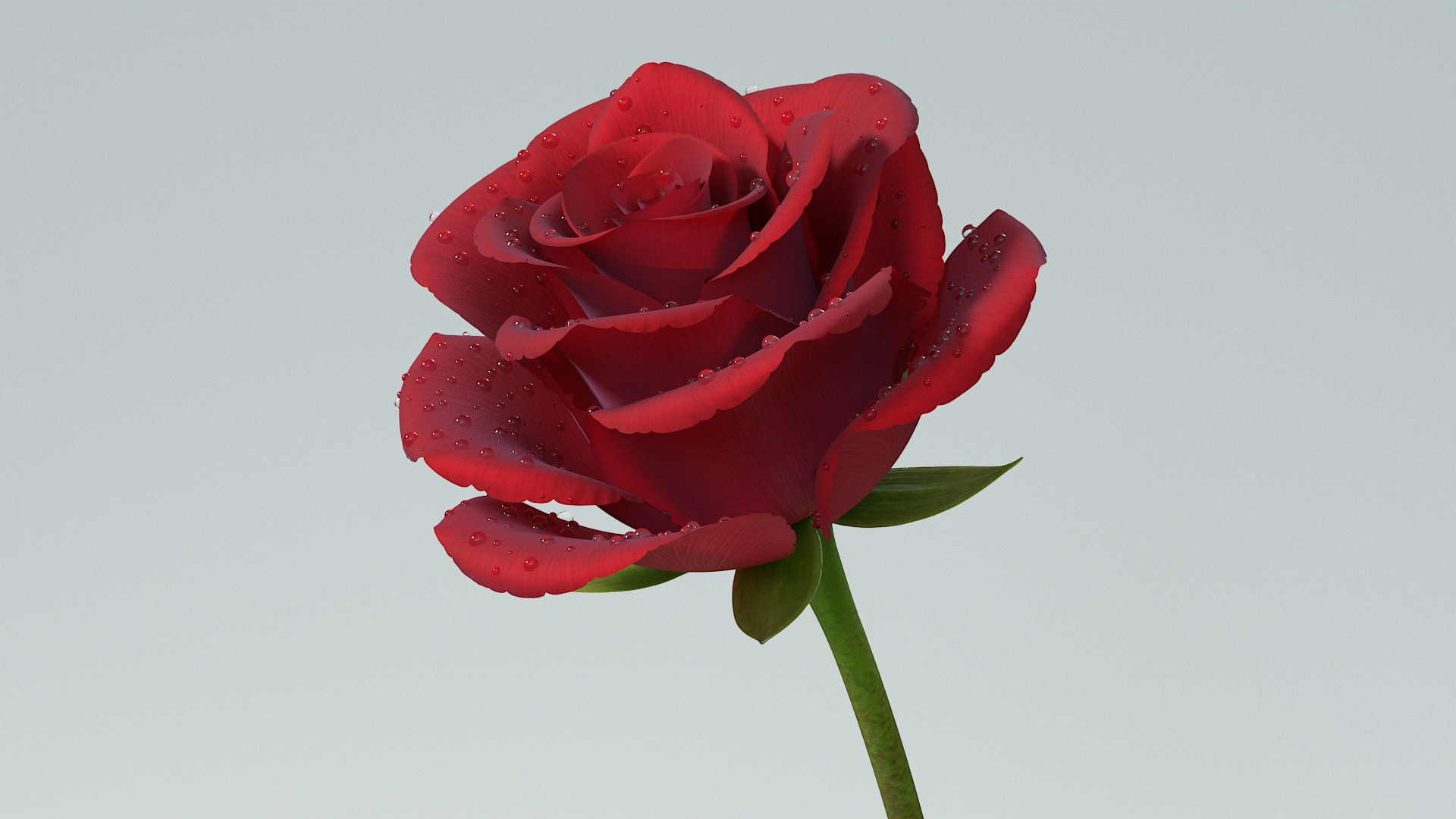 3D Hyperreal Rose Flower https://p.turbosquid.com/ts-thumb/4a/jzmLMu/6H/rosetba/jpg/1772014878/1920x1080/turn_fit_q99/be23b9684e93bb7a0573c9e08865c9dabcaa16ff/rosetba-1.jpg