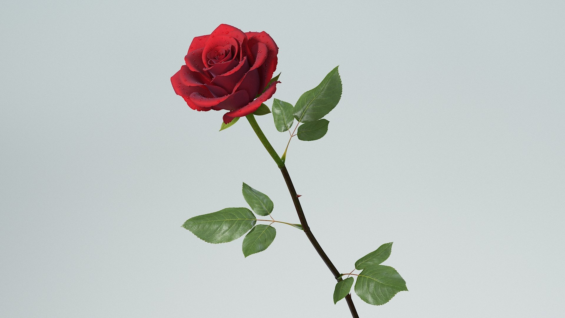 3D Hyperreal Rose Flower https://p.turbosquid.com/ts-thumb/4a/jzmLMu/Ab/flower_rose_08/jpg/1772014135/1920x1080/fit_q87/3935729c0d4277a7c6dcfac9642389e023c5a26b/flower_rose_08.jpg