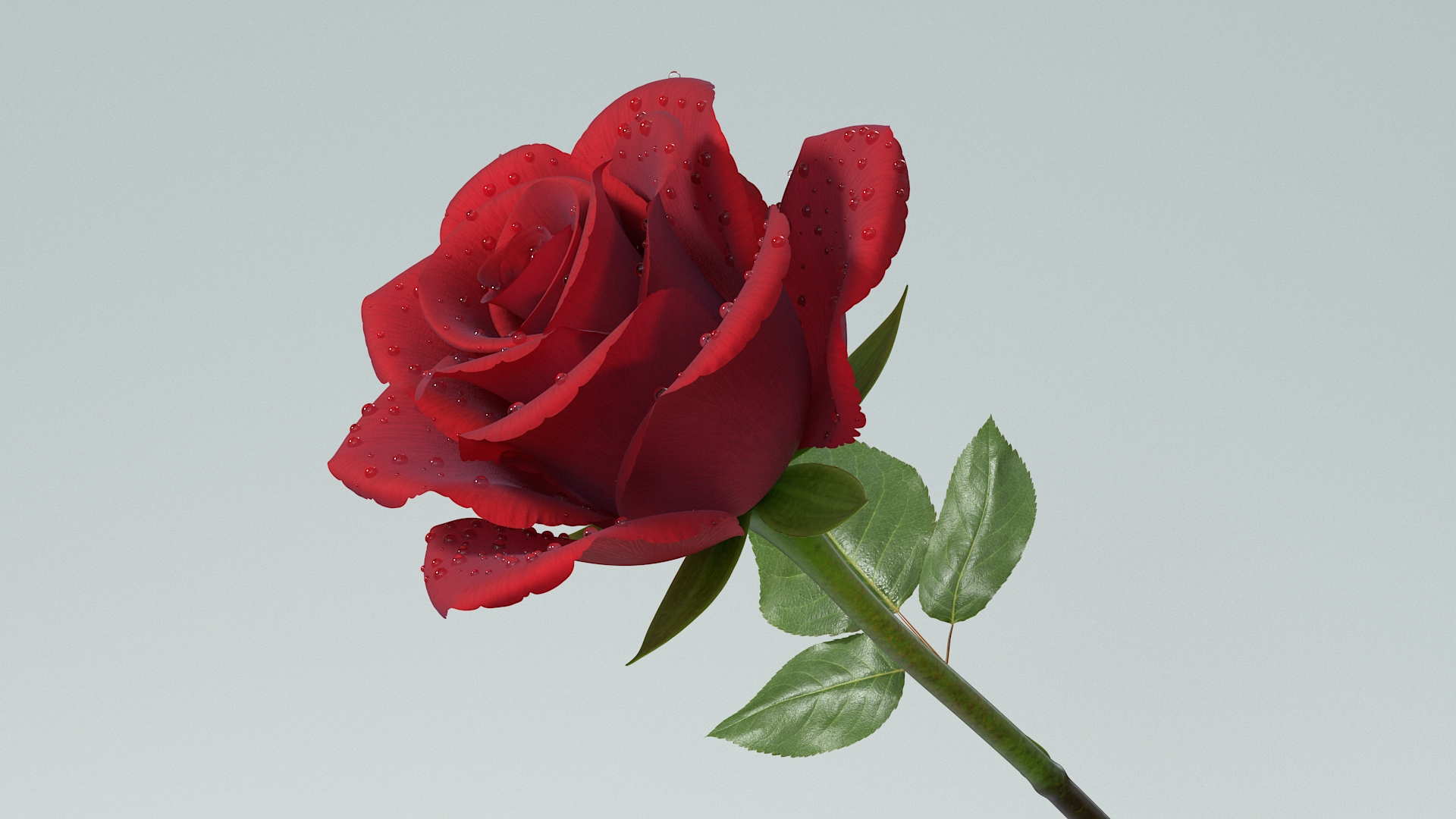 3D Hyperreal Rose Flower https://p.turbosquid.com/ts-thumb/4a/jzmLMu/Bs/rosetbb/jpg/1772014965/1920x1080/turn_fit_q99/3471563b7ca2f51a2fcf04cfaccafa77eea70218/rosetbb-1.jpg