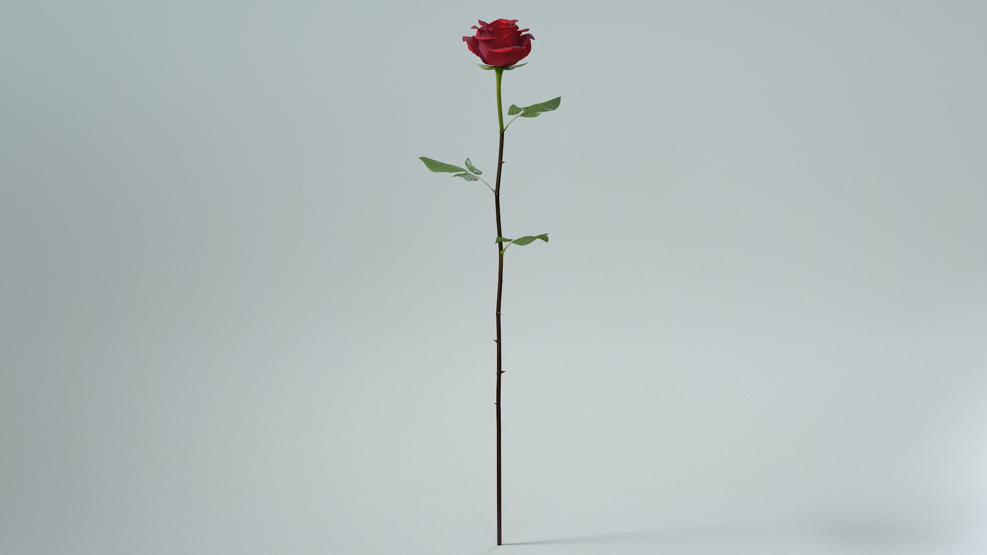 3D Hyperreal Rose Flower https://p.turbosquid.com/ts-thumb/4a/jzmLMu/O2/rosetbc/jpg/1772015589/1920x1080/turn_fit_q99/d1e7183c64a857376020b774cf8bf4ff3cf0eafc/rosetbc-1.jpg