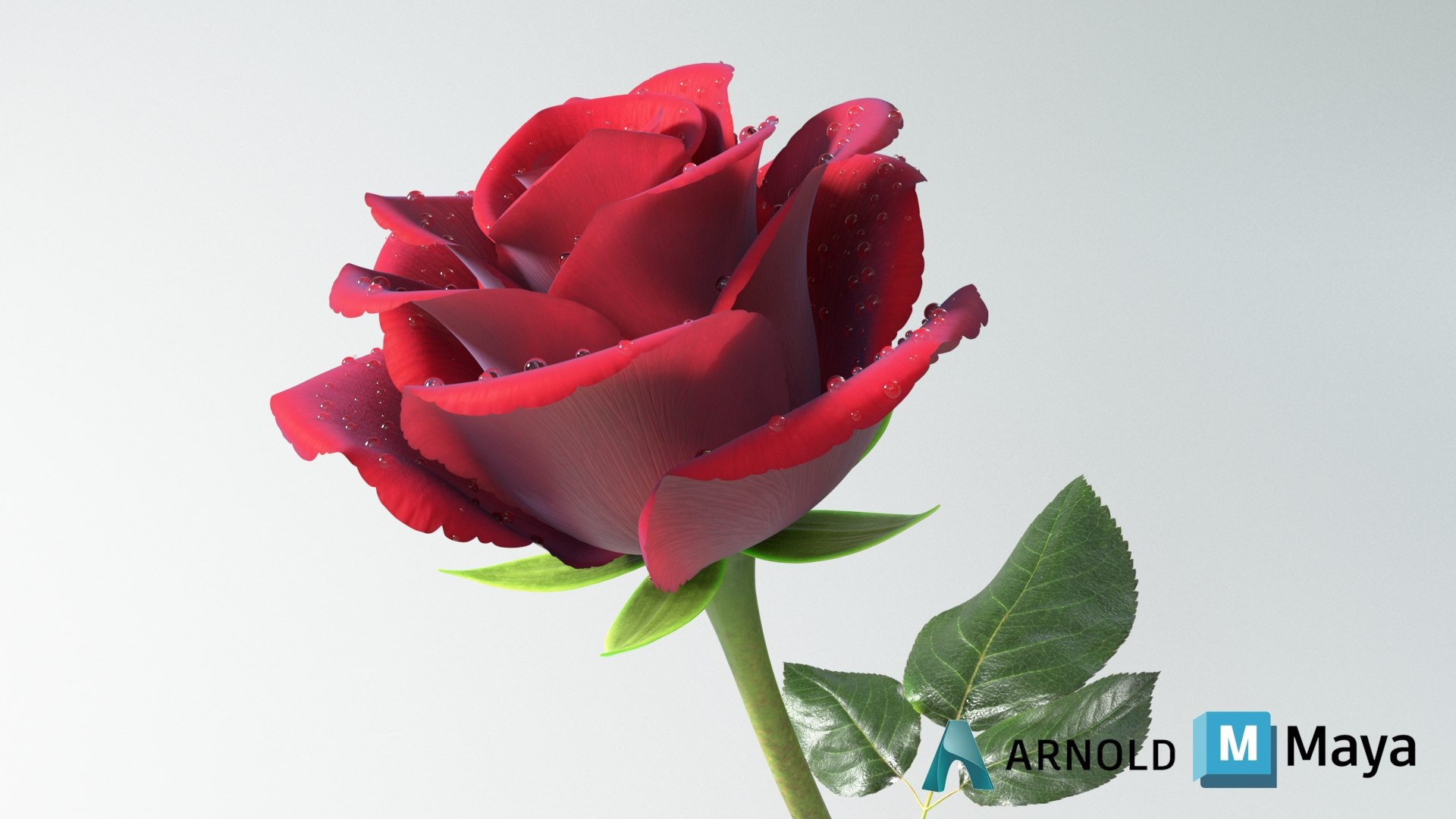 3D Hyperreal Rose Flower https://p.turbosquid.com/ts-thumb/4a/jzmLMu/SN/flower_rose_conv_07_maya_arnold/jpg/1772014165/1920x1080/fit_q87/ee4b2f09009fc4e32687b7aacc07afbc0ecbdb01/flower_rose_conv_07_maya_arnold.jpg