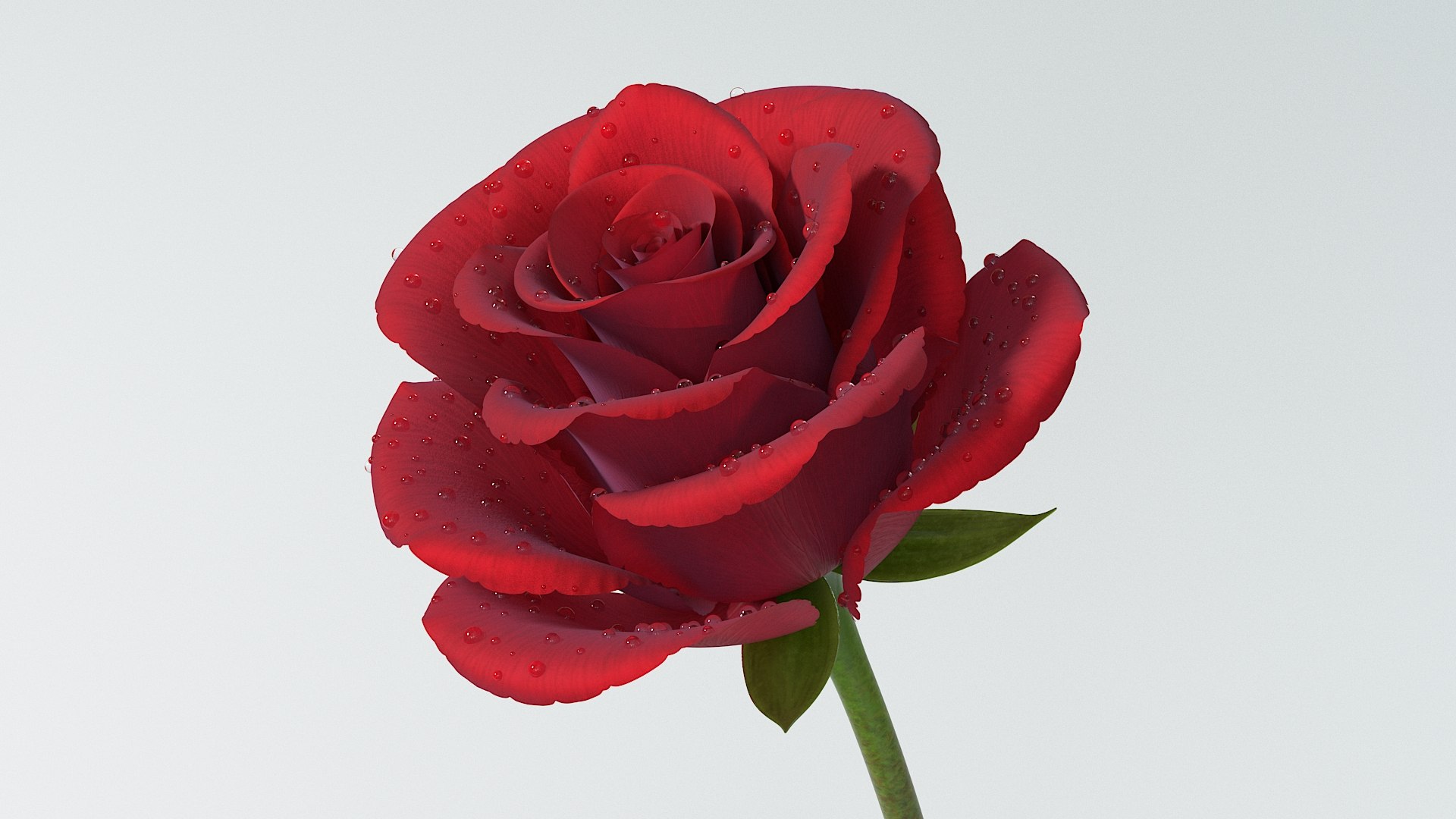 Flowers Bundle 3D https://p.turbosquid.com/ts-thumb/4a/jzmLMu/UE/flower_rose_02/jpg/1789161365/1920x1080/fit_q87/29f553de6350e2e1bd658309fbf0b05aa35a2c8a/flower_rose_02.jpg