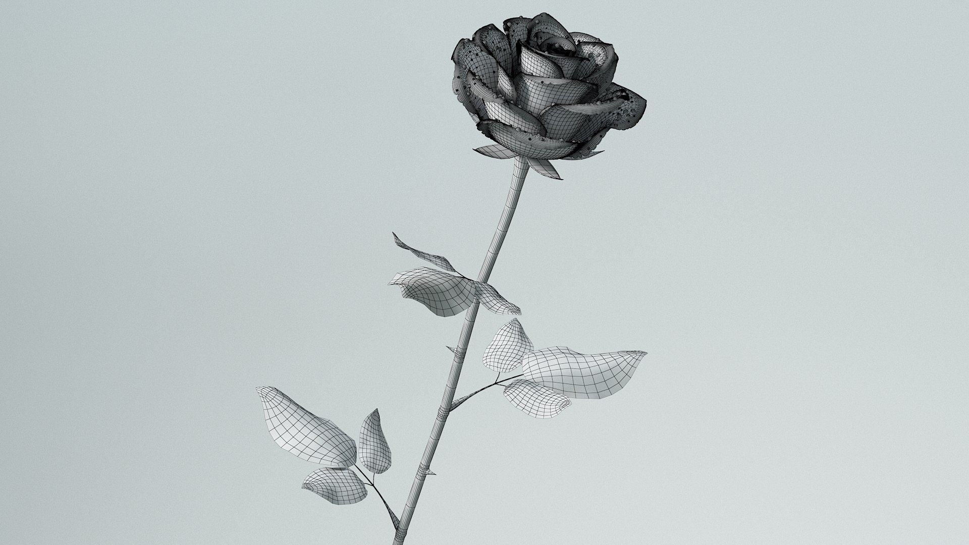 3D Hyperreal Rose Flower https://p.turbosquid.com/ts-thumb/4a/jzmLMu/Y8/flower_rose_17/jpg/1772014150/1920x1080/fit_q87/14ffc20e852ebc8cb6d6293b254809b05071f91a/flower_rose_17.jpg