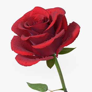 Hyperreal Rose Flower