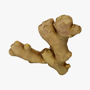 3D Fresh Ginger Root - Extreme Definition 3D Scanned