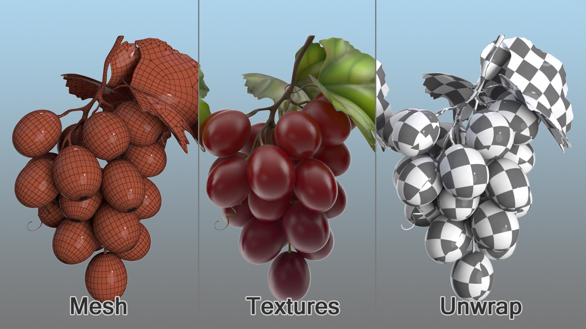 3D Grapes Collection 4 https://p.turbosquid.com/ts-thumb/4a/vMN6Bf/D5/grapescollection43dsmodel027/jpg/1656160394/1920x1080/fit_q87/6602f2a404d00565238d19d10d16603f0b54e339/grapescollection43dsmodel027.jpg