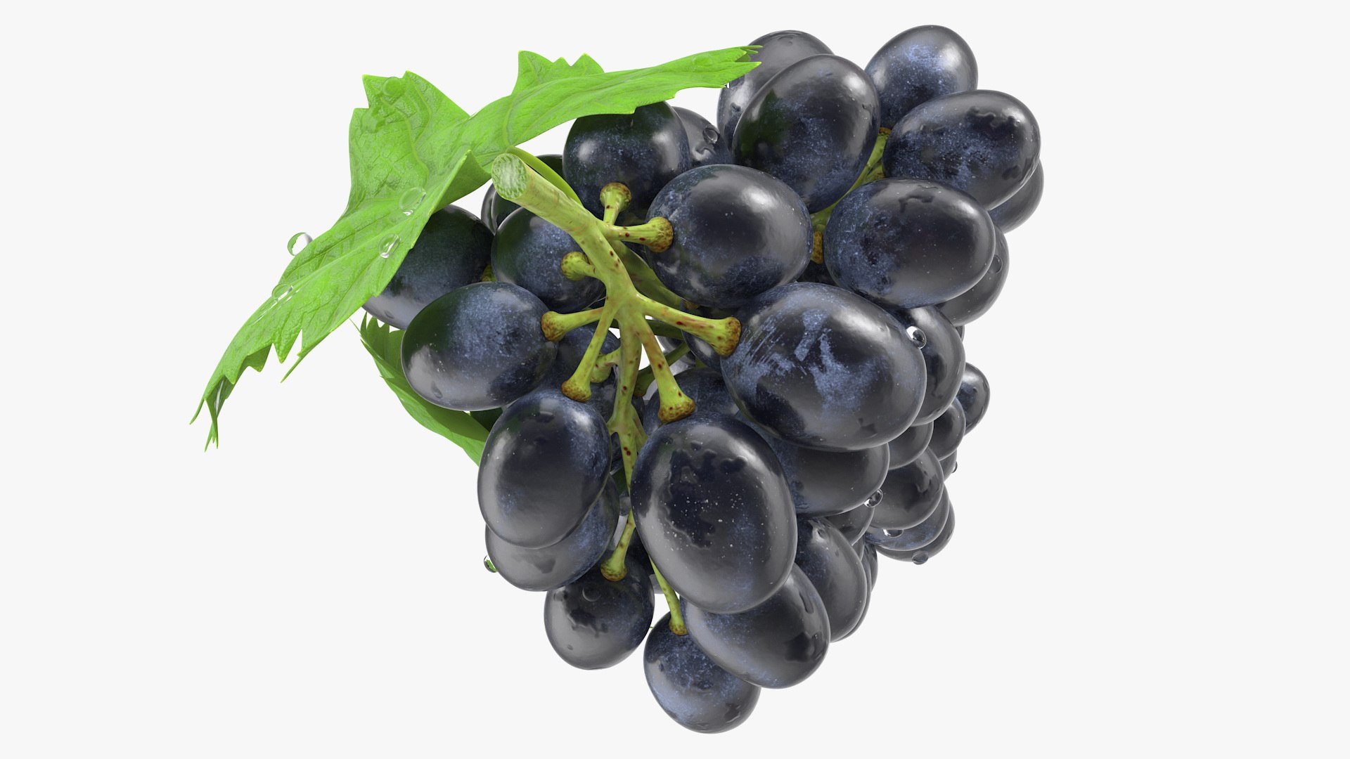 3D Grapes Collection 4 https://p.turbosquid.com/ts-thumb/4a/vMN6Bf/Fk/grapescollection43dsmodel049/jpg/1656160461/1920x1080/fit_q87/48d82717271efc7c1d13e77c3c5892fe48e2bbff/grapescollection43dsmodel049.jpg