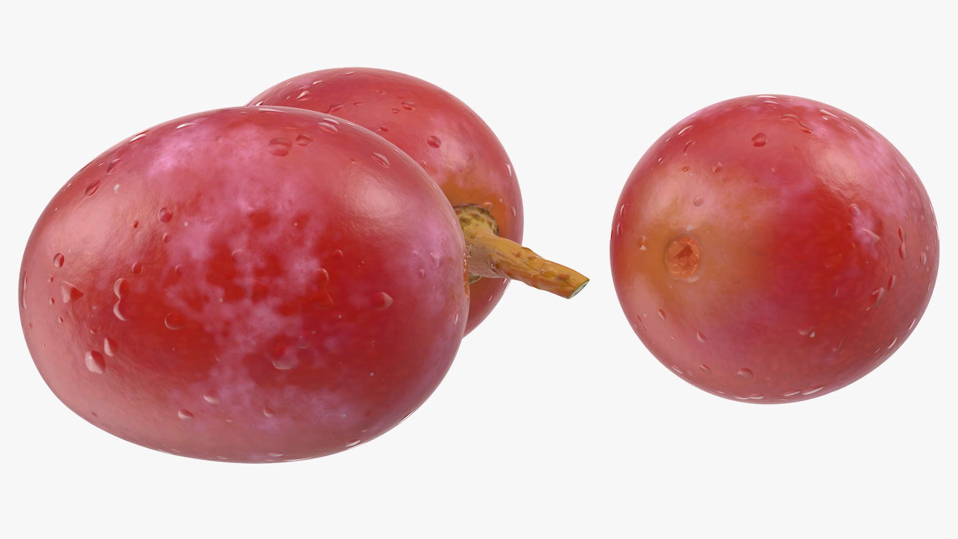 3D Grapes Collection 4 https://p.turbosquid.com/ts-thumb/4a/vMN6Bf/Fv/grapescollection43dsmodel038/jpg/1656160428/1920x1080/fit_q87/c475b6584a6857b34545f696ef8a7660637bcf8a/grapescollection43dsmodel038.jpg