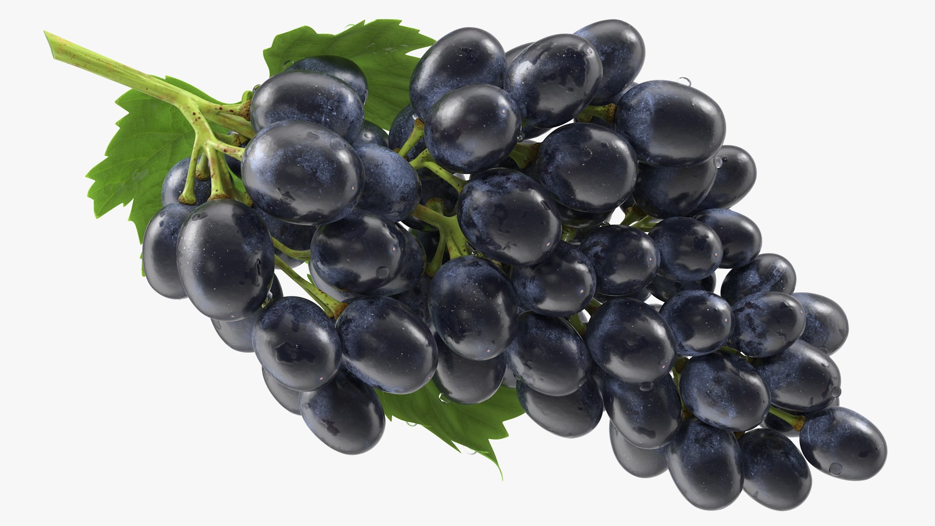 3D Grapes Collection 4 https://p.turbosquid.com/ts-thumb/4a/vMN6Bf/bL/grapescollection43dsmodel042/jpg/1656160440/1920x1080/fit_q87/bdeaa6dc6e7c2fb5e918a122e8ee5cd2497d5770/grapescollection43dsmodel042.jpg