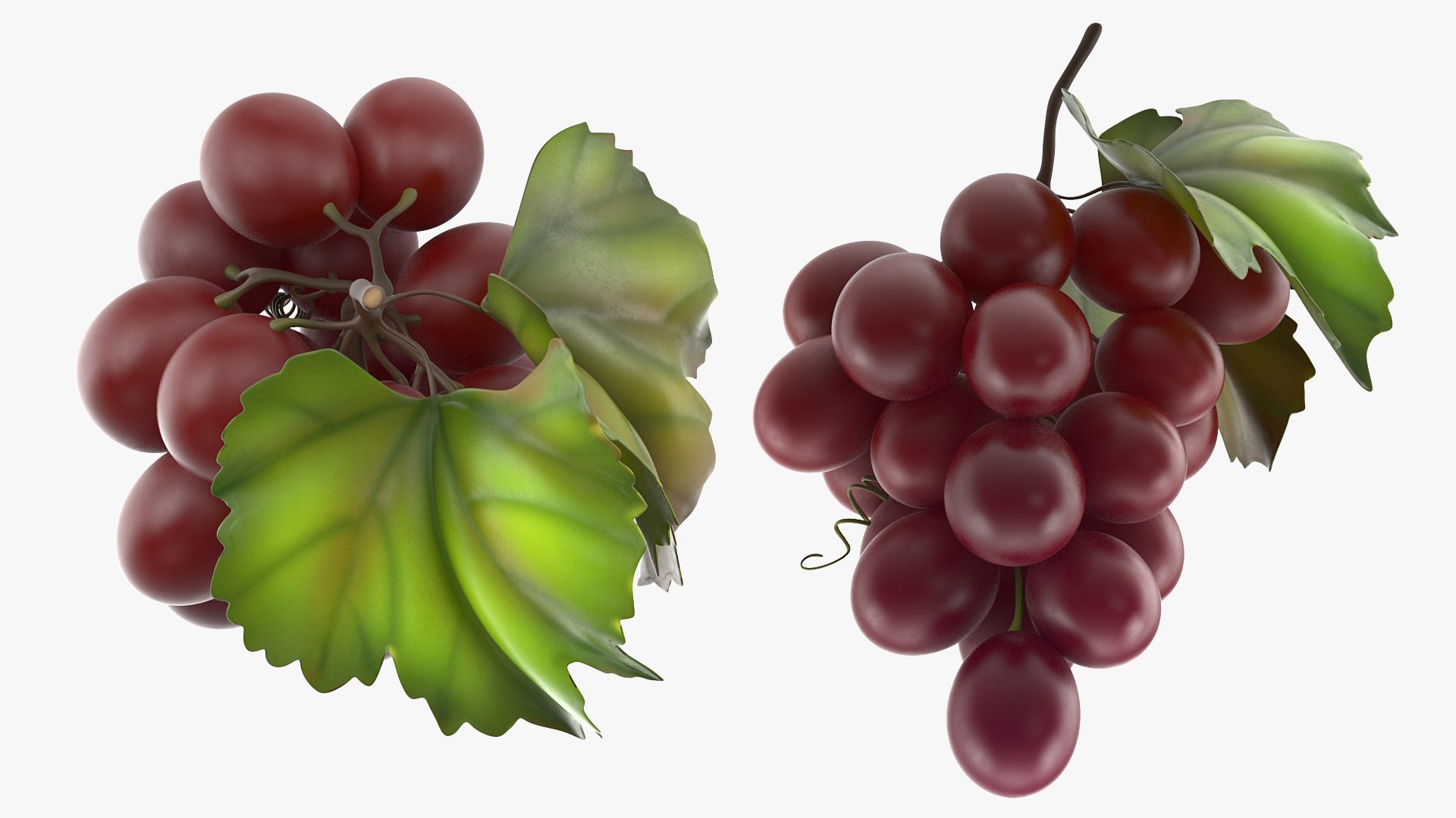 3D Grapes Collection 4 https://p.turbosquid.com/ts-thumb/4a/vMN6Bf/dI/grapescollection43dsmodel028/jpg/1656160397/1920x1080/fit_q87/48f26b856c4e83983187c05e8d76d950cea13119/grapescollection43dsmodel028.jpg