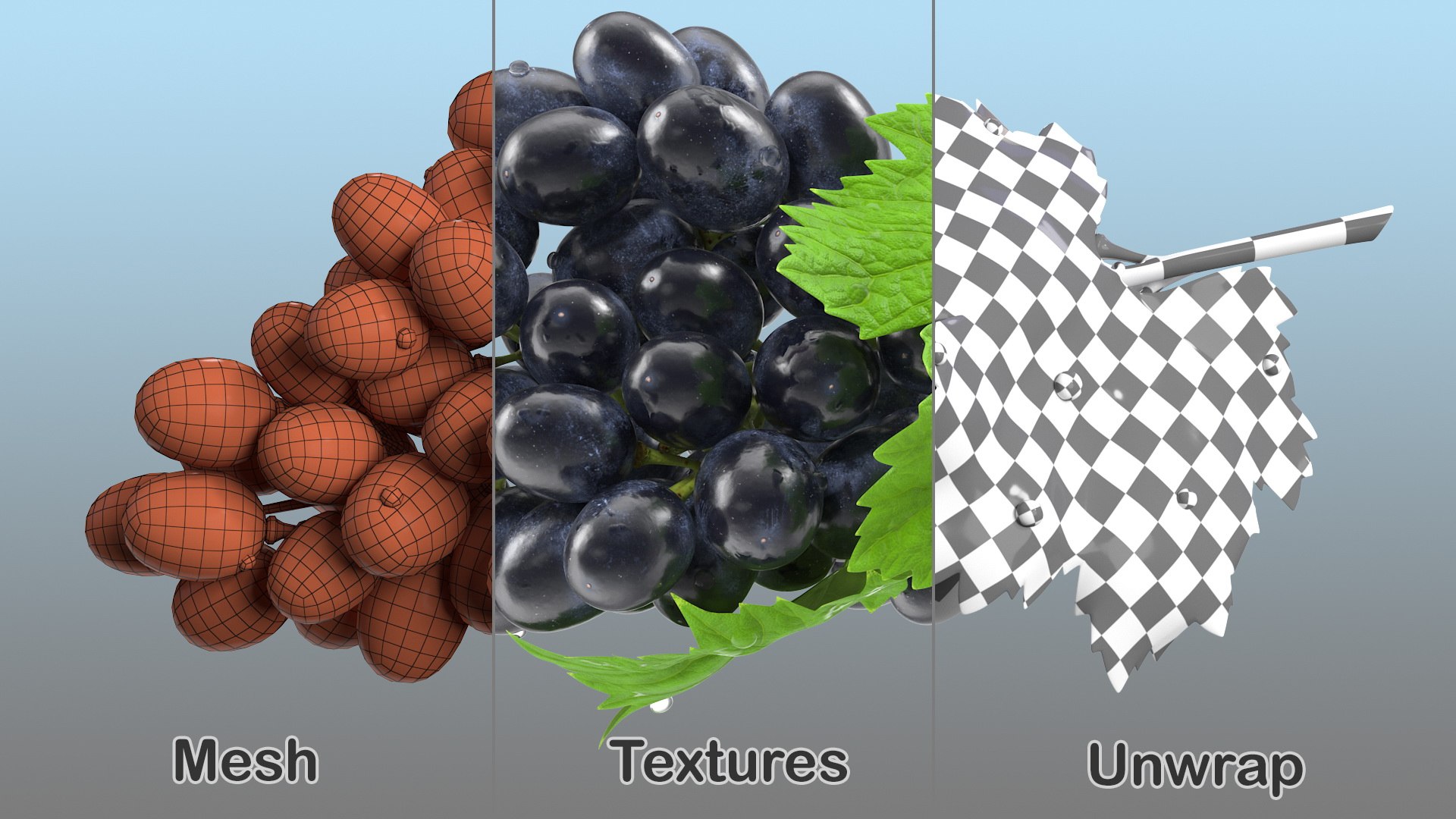 3D Grapes Collection 4 https://p.turbosquid.com/ts-thumb/4a/vMN6Bf/tM/grapescollection43dsmodel046/jpg/1656160452/1920x1080/fit_q87/f805cbddd2c0899ed8a29bd0cf23281392b2c55a/grapescollection43dsmodel046.jpg