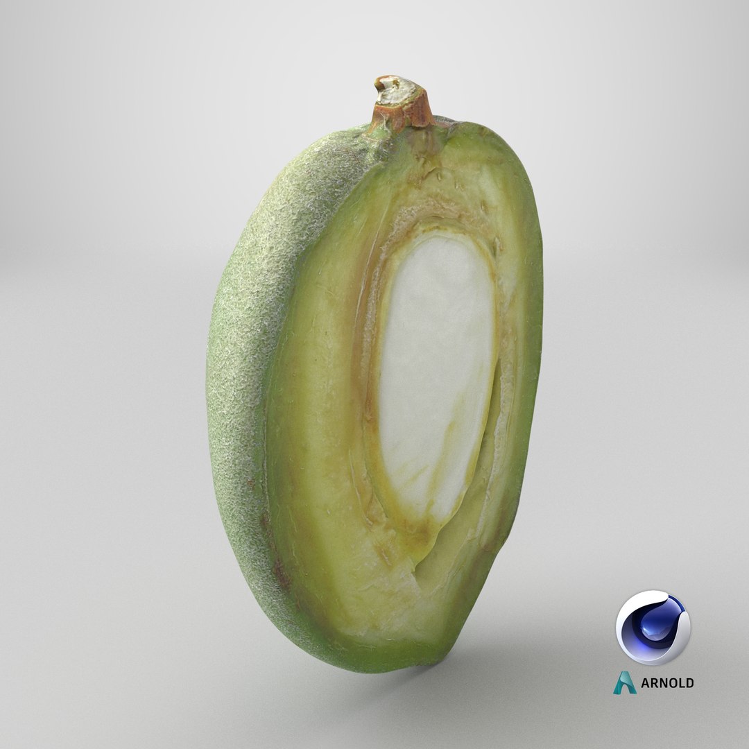 3D Fresh Almond Cross Section - 3D Scanned model https://p.turbosquid.com/ts-thumb/4a/xYs6ZJ/2x/stemcell_cinema_4d_arnold_render/png/1782395881/1920x1080/fit_q87/54df099e3cda079afcd63c4cdab8024502bbfa60/stemcell_cinema_4d_arnold_render.jpg