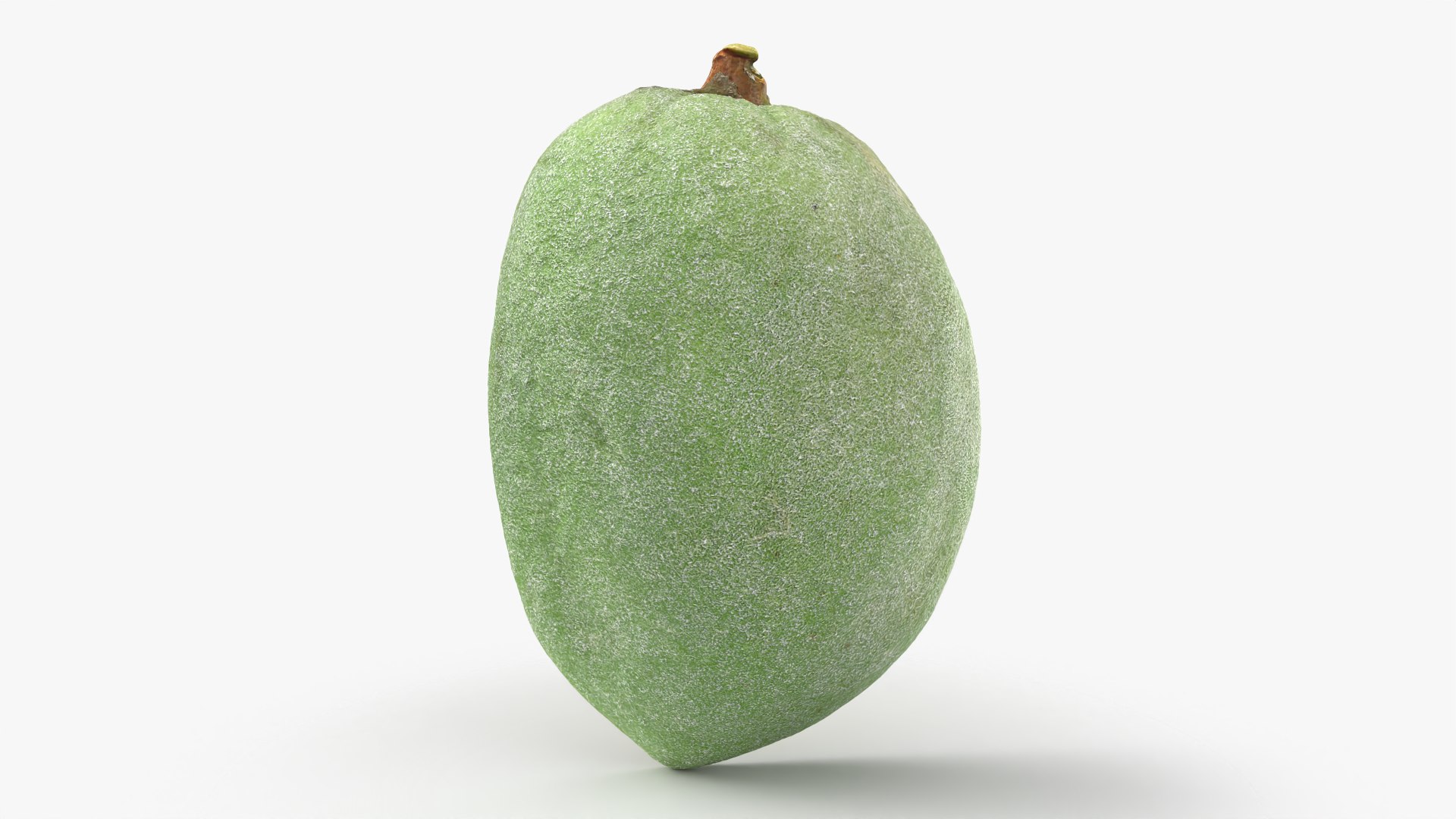 3D Fresh Almond Cross Section - 3D Scanned model https://p.turbosquid.com/ts-thumb/4a/xYs6ZJ/B9/almondgreencut_0002/png/1781282693/1920x1080/fit_q87/50bfd4c9e4605c651bd2e0780888fea2d9c8cf17/almondgreencut_0002.jpg