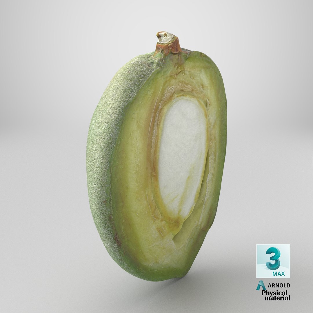 3D Fresh Almond Cross Section - 3D Scanned model https://p.turbosquid.com/ts-thumb/4a/xYs6ZJ/BU/stemcell_max_physical_render/png/1782395888/1920x1080/fit_q87/9f7833c4819e4bcd528a6643386338579b84b5b4/stemcell_max_physical_render.jpg
