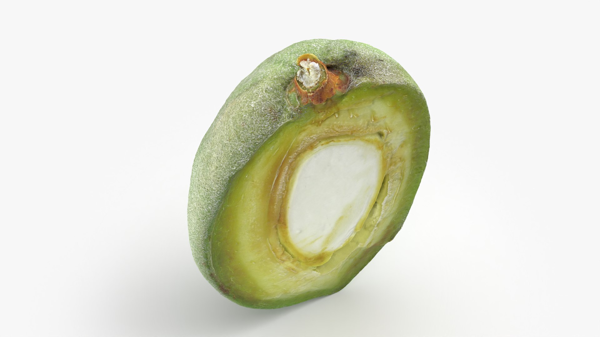 3D Fresh Almond Cross Section - 3D Scanned model https://p.turbosquid.com/ts-thumb/4a/xYs6ZJ/CE/almondgreencut_0005/png/1781282719/1920x1080/fit_q87/0e037ef49f95f34af9a7ff3c3209080f3782ca52/almondgreencut_0005.jpg