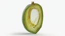 Fresh Almond Cross Section - 3D Scanned