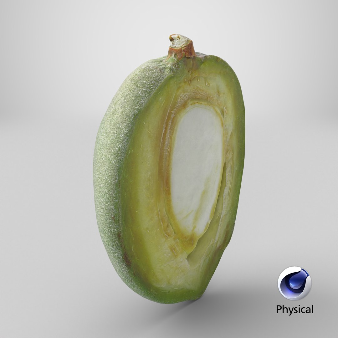 3D Fresh Almond Cross Section - 3D Scanned model https://p.turbosquid.com/ts-thumb/4a/xYs6ZJ/V5/stemcell_cinema_4d_physical_render/png/1782395883/1920x1080/fit_q87/d185a92e38ee30ee23548fa4444e7b3295083619/stemcell_cinema_4d_physical_render.jpg