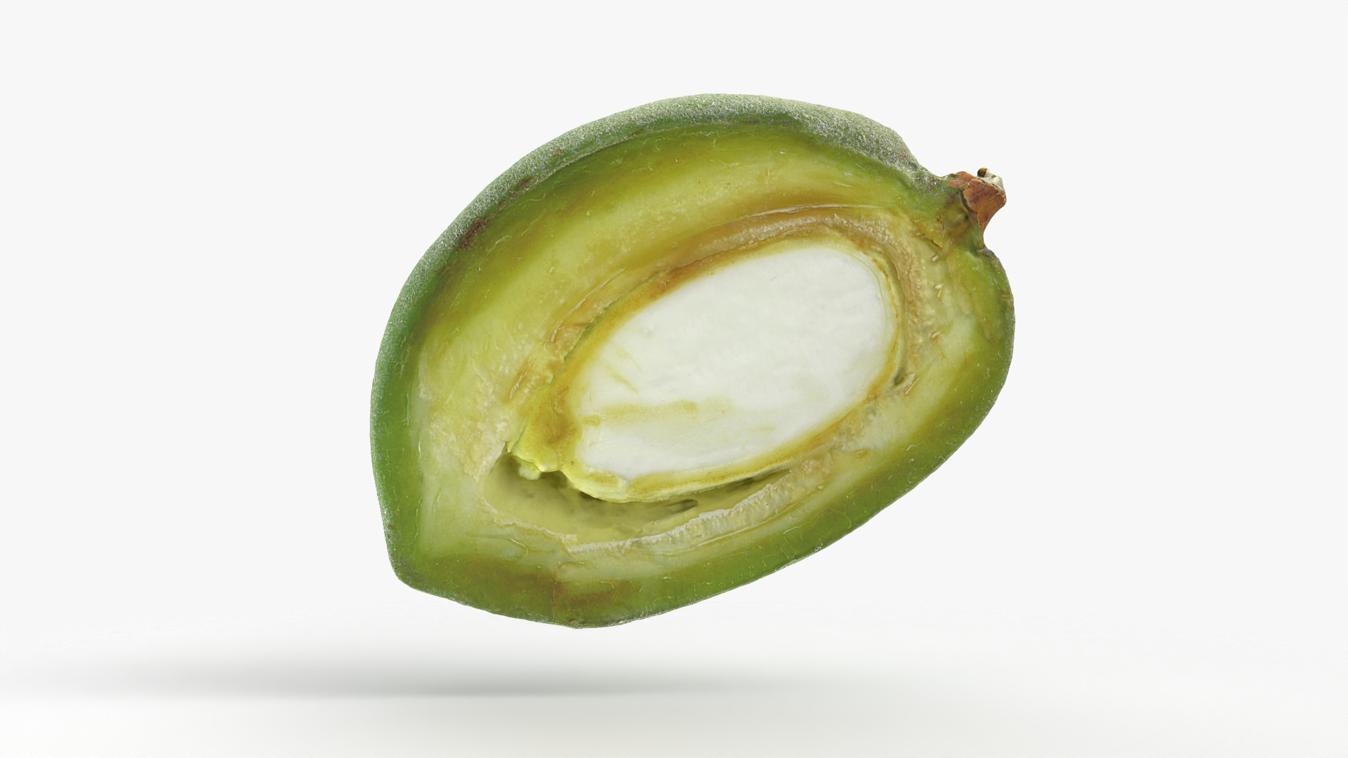 3D Fresh Almond Cross Section - 3D Scanned model https://p.turbosquid.com/ts-thumb/4a/xYs6ZJ/dq/almondgreencut/png/1781894857/1920x1080/turn_fit_q99/73242dd7f7f4db2f6c897842cd899a37af4f1cb8/almondgreencut-1.jpg