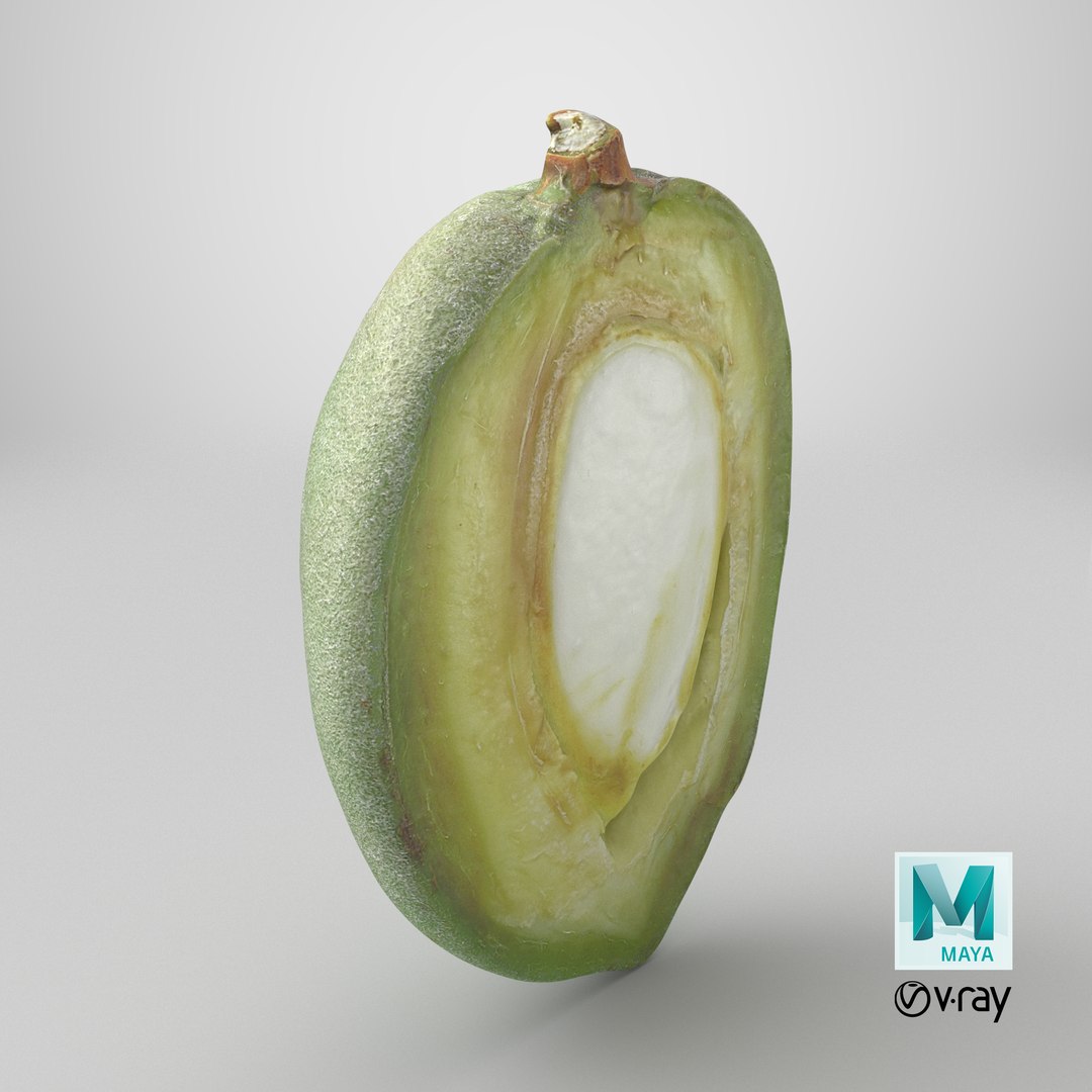 3D Fresh Almond Cross Section - 3D Scanned model https://p.turbosquid.com/ts-thumb/4a/xYs6ZJ/e7/stemcell_maya_vray_render/png/1782395879/1920x1080/fit_q87/d04c4daa7234bd248df31c8c33fee6be46a79edd/stemcell_maya_vray_render.jpg