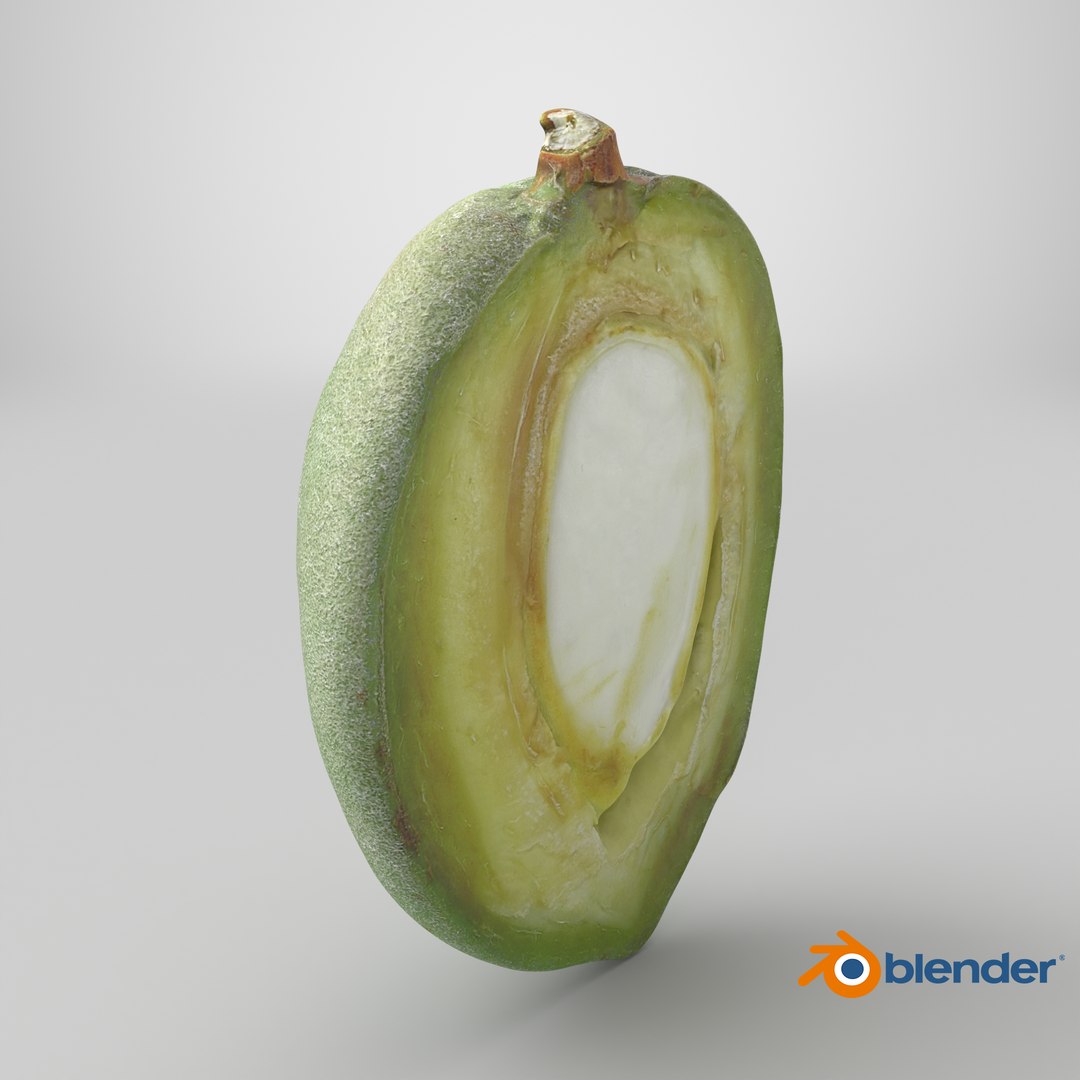 3D Fresh Almond Cross Section - 3D Scanned model https://p.turbosquid.com/ts-thumb/4a/xYs6ZJ/hz/stemcell_blender_cycles_render/png/1782395875/1920x1080/fit_q87/c9dcf7722fe0caa00d75bae43ab2a0d46abd8d49/stemcell_blender_cycles_render.jpg
