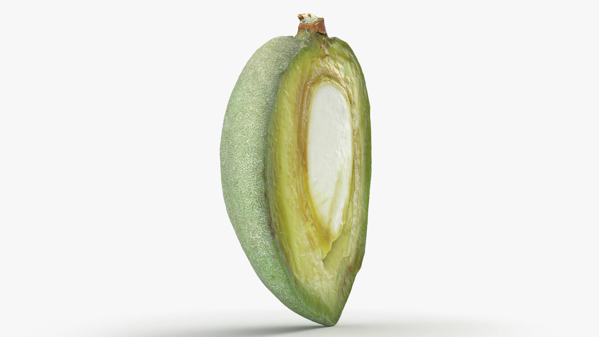 3D Fresh Almond Cross Section - 3D Scanned model https://p.turbosquid.com/ts-thumb/4a/xYs6ZJ/nB/almondgreencut_0003/png/1781282708/1920x1080/fit_q87/47bfd6d7f3ab26aeeb61b35d98ec17923a82ed12/almondgreencut_0003.jpg