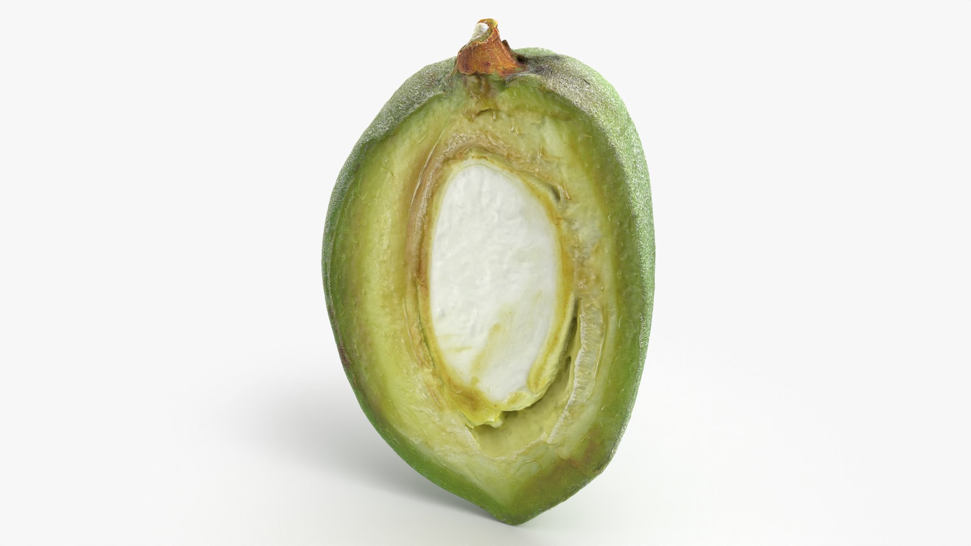 3D Fresh Almond Cross Section - 3D Scanned model https://p.turbosquid.com/ts-thumb/4a/xYs6ZJ/nY/almondgreencut_0004/png/1781282720/1920x1080/fit_q87/ed2158148dfd908e0d58da7c34dfdff632a5226c/almondgreencut_0004.jpg