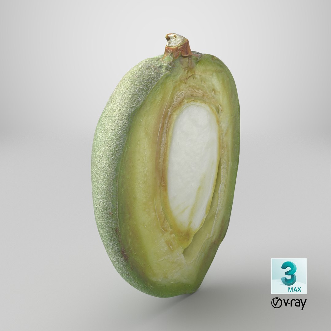 3D Fresh Almond Cross Section - 3D Scanned model https://p.turbosquid.com/ts-thumb/4a/xYs6ZJ/rJ/stemcell_max_vray_render/png/1782395884/1920x1080/fit_q87/4f000a9043e47fd74108c55b777df3185db53429/stemcell_max_vray_render.jpg