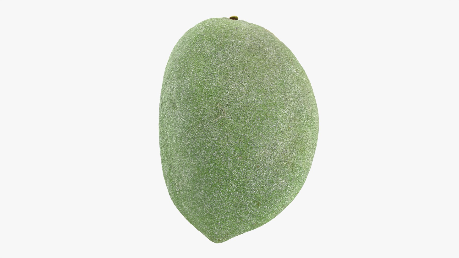 3D Fresh Almond Cross Section - 3D Scanned model https://p.turbosquid.com/ts-thumb/4a/xYs6ZJ/zz/almondgreencut_0010/png/1781282732/1920x1080/fit_q87/9dfc952c43a948d7827f9c333f4aa892f355e594/almondgreencut_0010.jpg