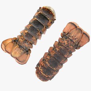 3D Lobster Tails Atlantic 