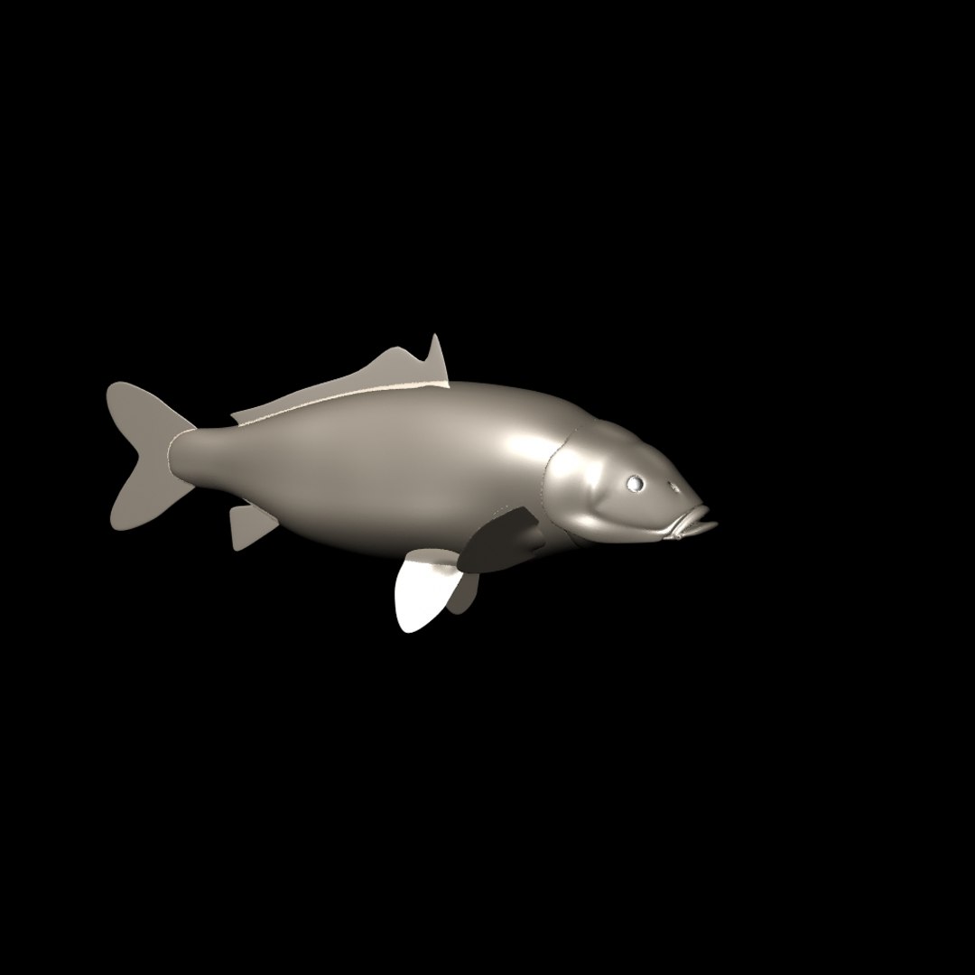 3D rigged animation model - TurboSquid 1409153