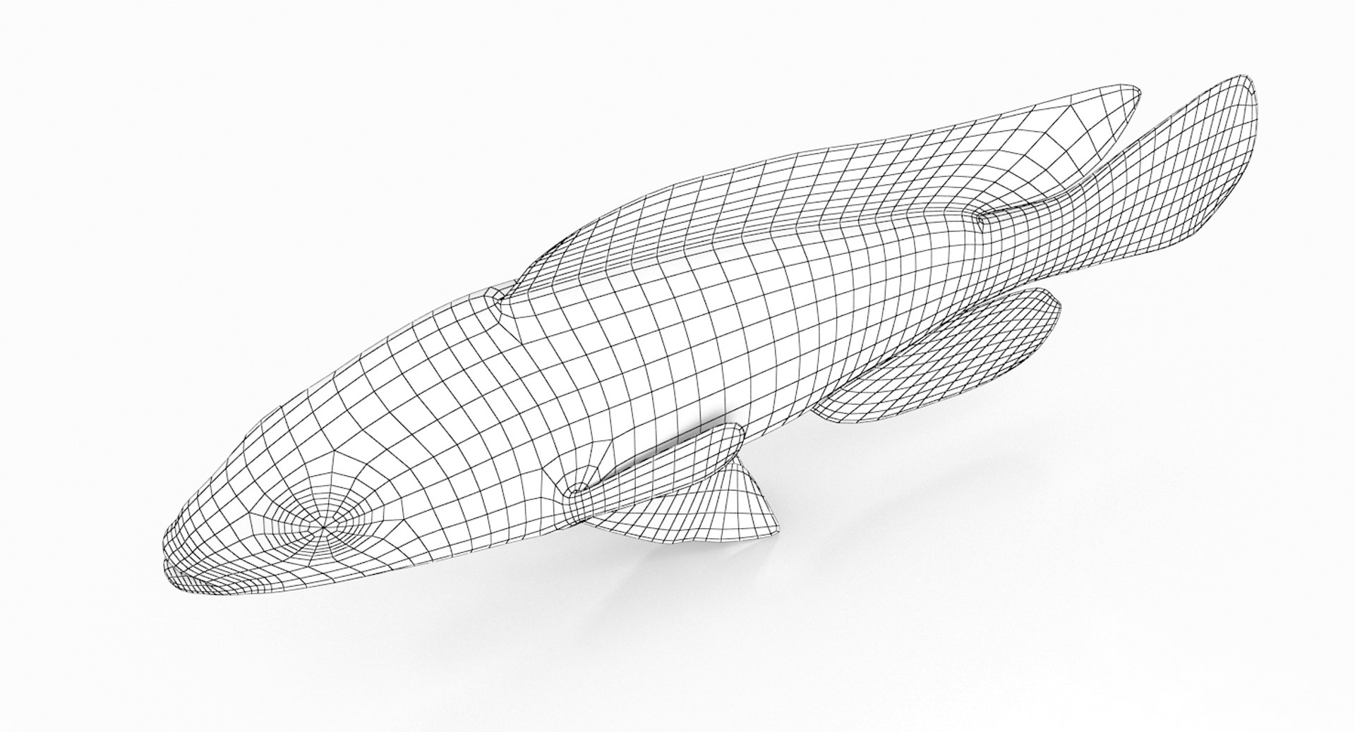 pundamilia cichlid dxf https://p.turbosquid.com/ts-thumb/4b/v56ZIt/YS9pOKyA/pundamilia_r2w/jpg/1483071000/1920x1080/fit_q87/dda5bc21cda846d99919d69a4e208839cbe45df1/pundamilia_r2w.jpg