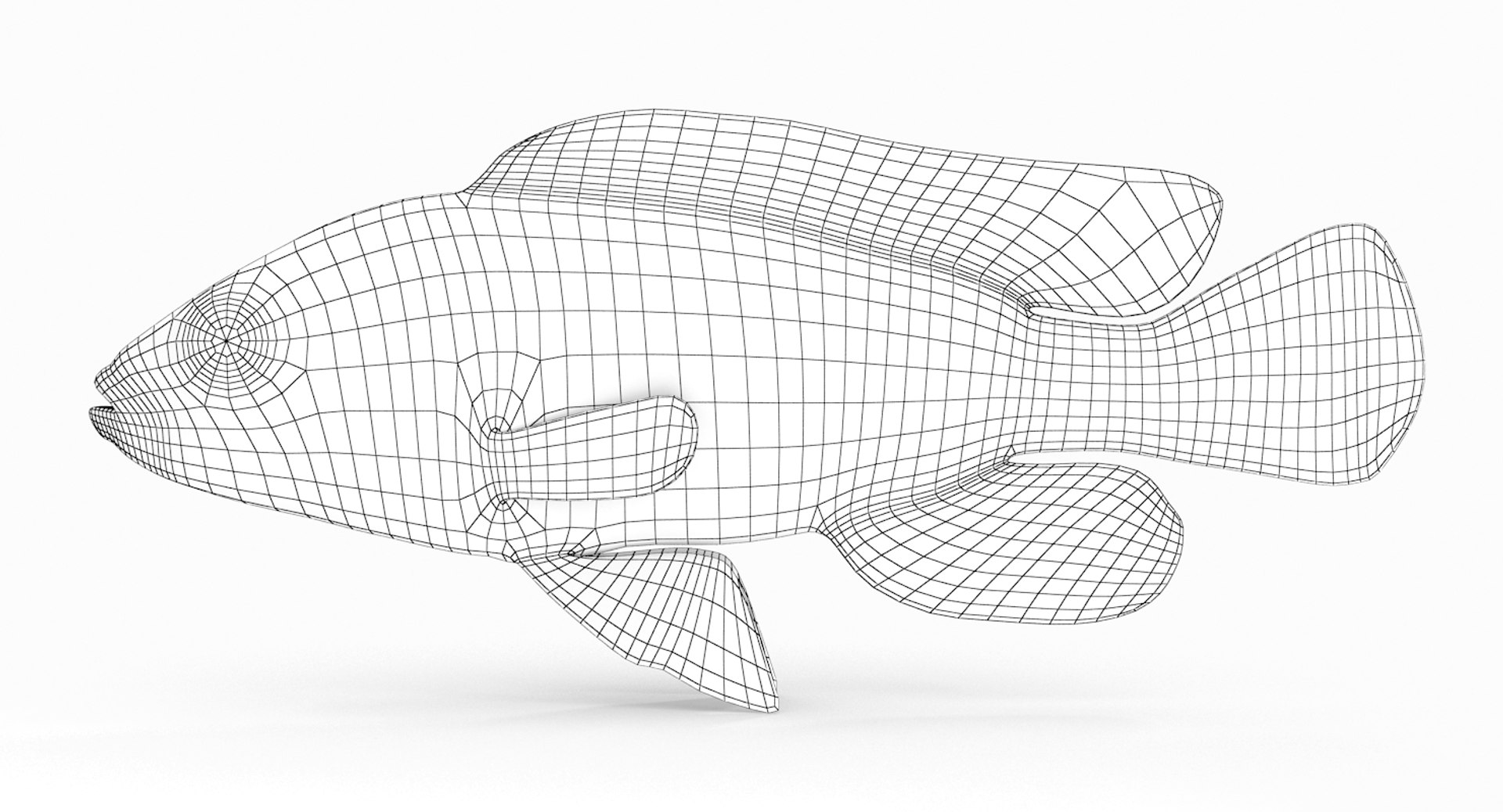 pundamilia cichlid dxf https://p.turbosquid.com/ts-thumb/4b/v56ZIt/scDrPPQu/pundamilia_r1w/jpg/1483071000/1920x1080/fit_q87/793a12280d9563d27c9771ca6386e830265f1868/pundamilia_r1w.jpg