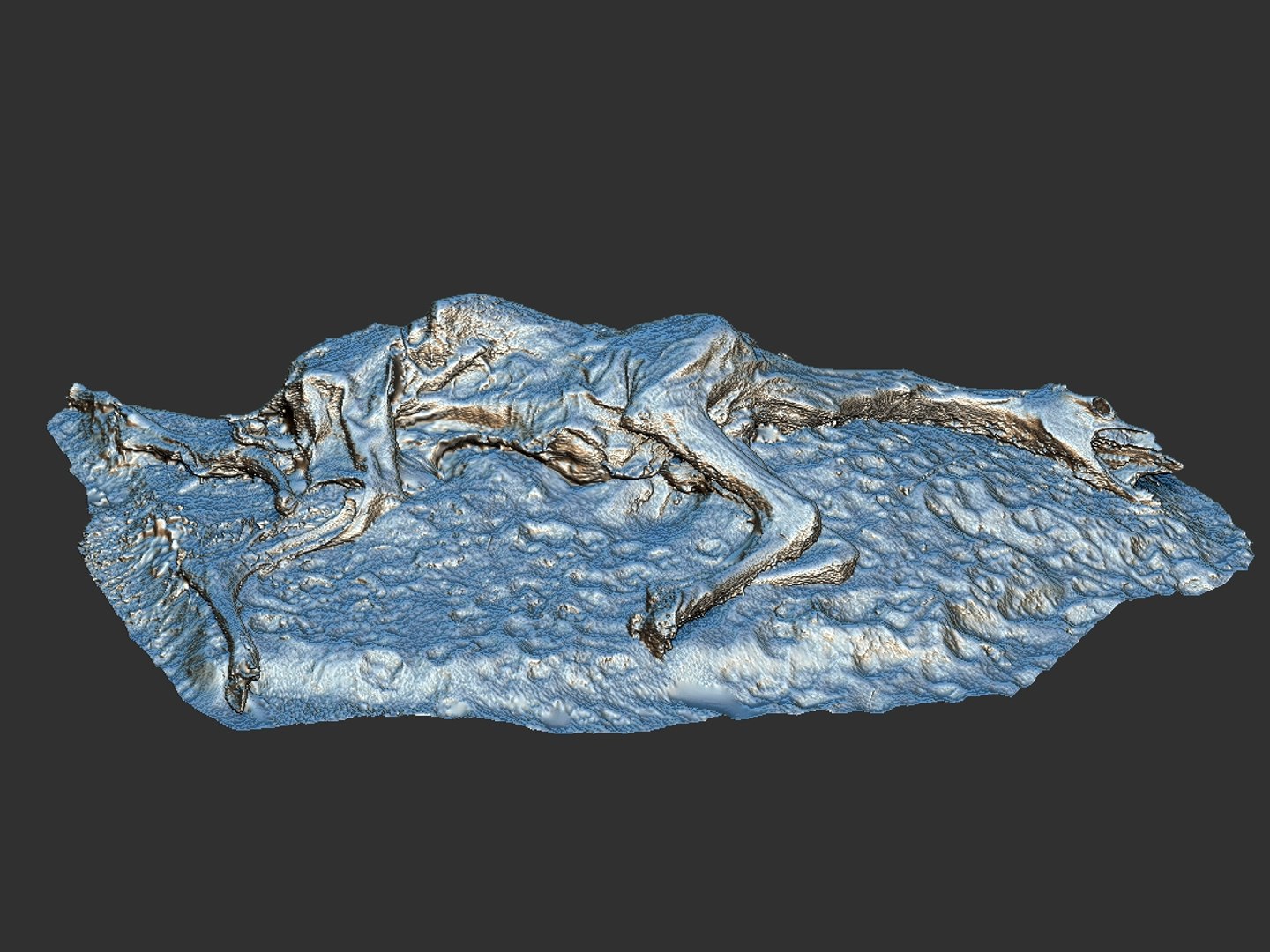 3D camel skeleton - real https://p.turbosquid.com/ts-thumb/4b/y3Jh8s/7jj97w8X/89899/jpg/1551049102/1920x1080/fit_q87/8a76d73b3cd0ea33592ea551b0fc7ef5c41120a6/89899.jpg