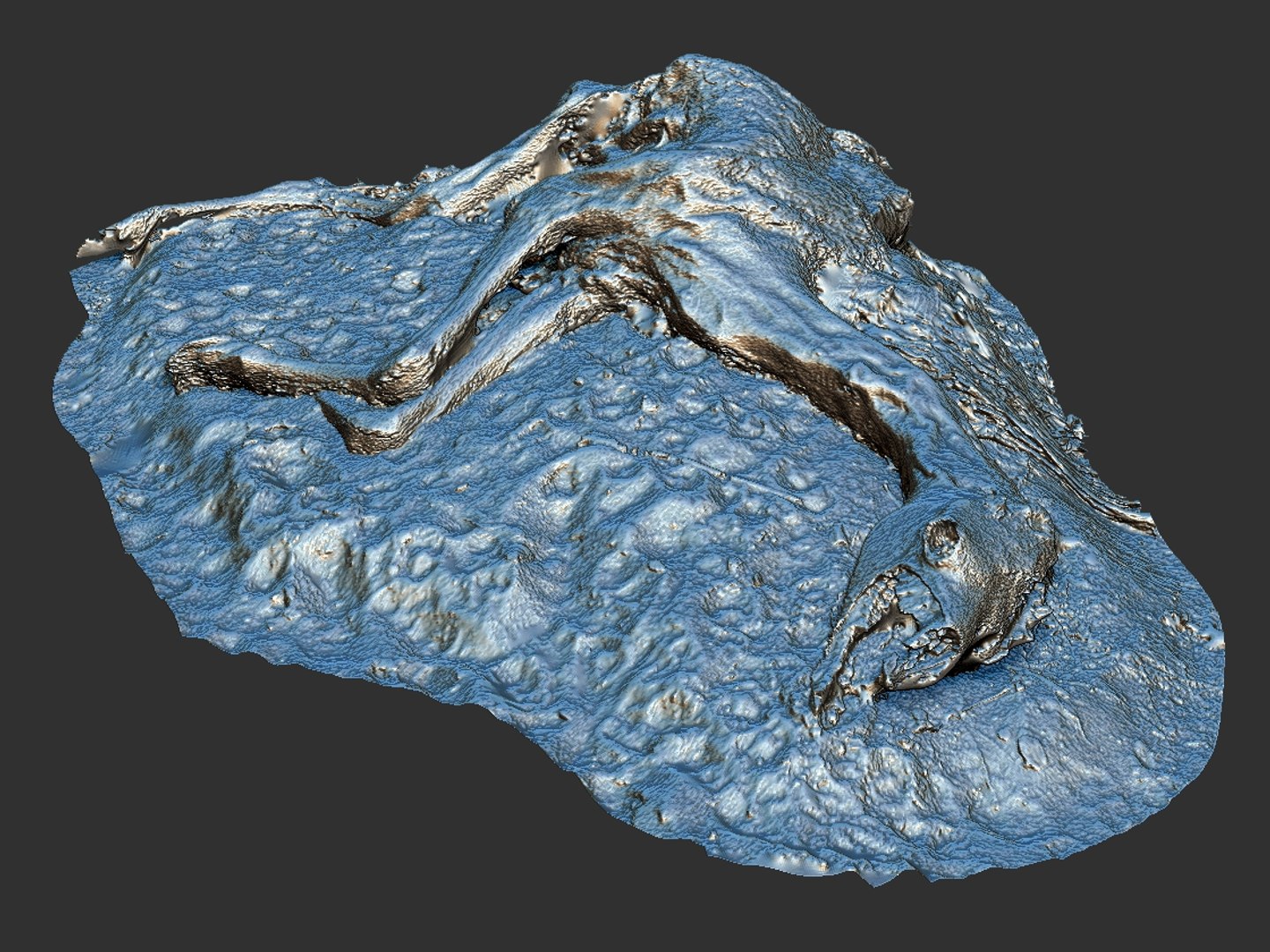 3D camel skeleton - real https://p.turbosquid.com/ts-thumb/4b/y3Jh8s/ydnqOAIw/6767/jpg/1551049092/1920x1080/fit_q87/aa7264fc674f45640a937db8d92bf51cf07a75db/6767.jpg