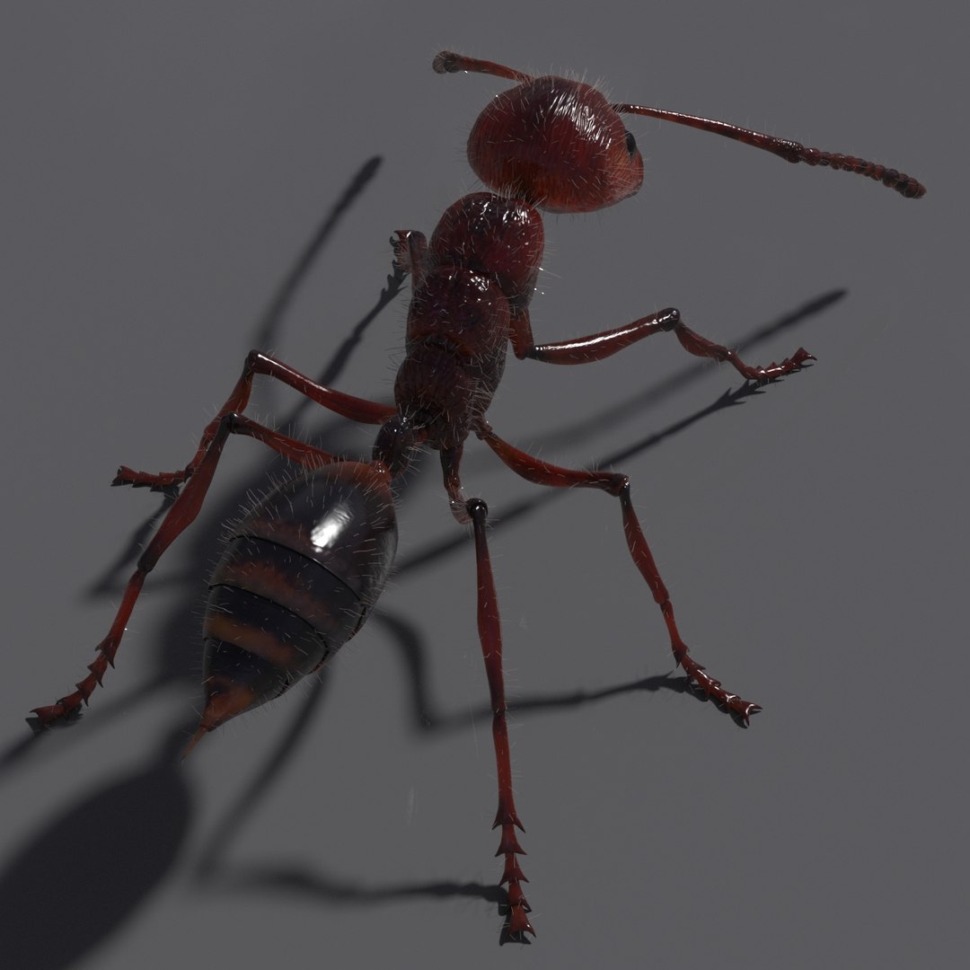 ant rig 3D model https://p.turbosquid.com/ts-thumb/4c/lM7CV4/ElEcQmn5/p3/jpg/1547789304/1920x1080/fit_q87/13ffc47958790ba105db2e7da01f6fa6edcf4d64/p3.jpg