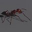Fire Ant Maya Rig