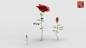 Rose Rigged Animated