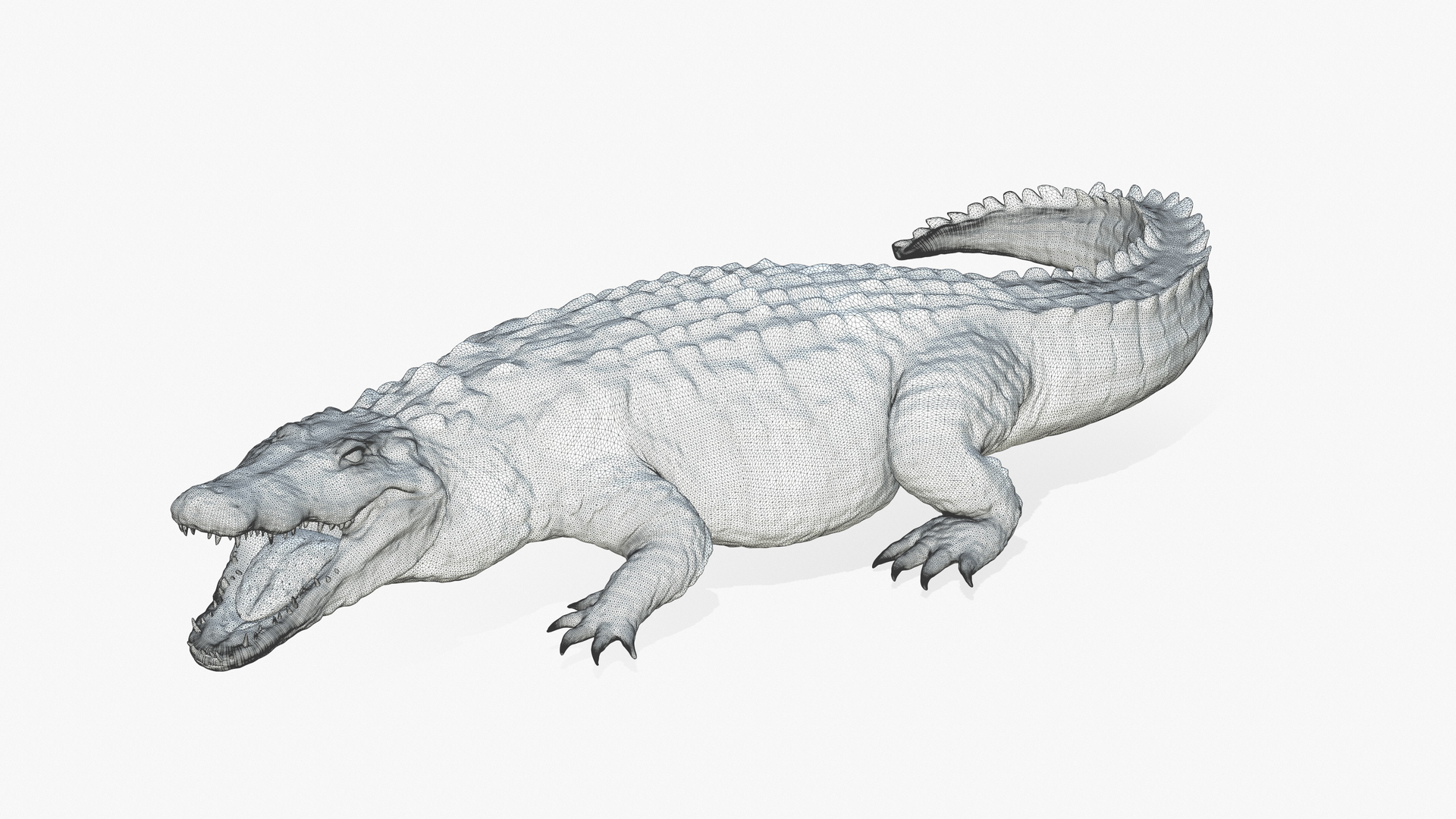 Akasha Mead Art - A drawing of a happy Crocodile that I did way back when  in 2013!! I still remember how hard all these scales were 😭 . . . . #