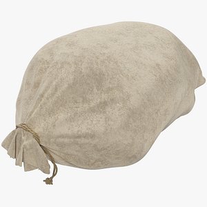 Old Sack V6 3D model