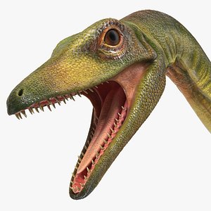 Compsognathus Dinosaur Rigged For Maya 3D Model