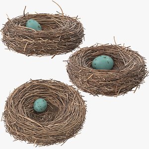 3 Bird Nests