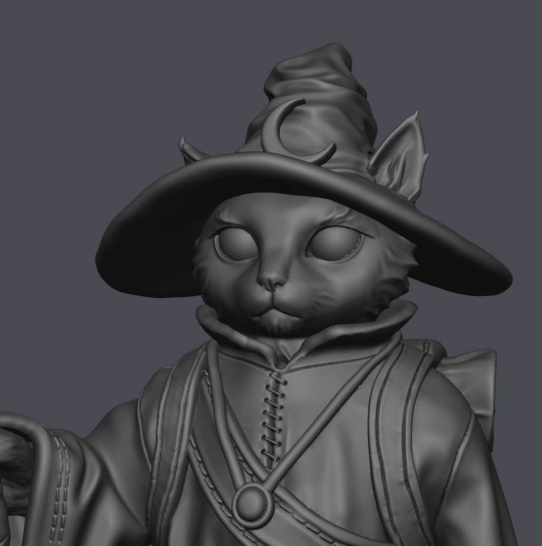 3D модель Wizard cat TurboSquid 2050324