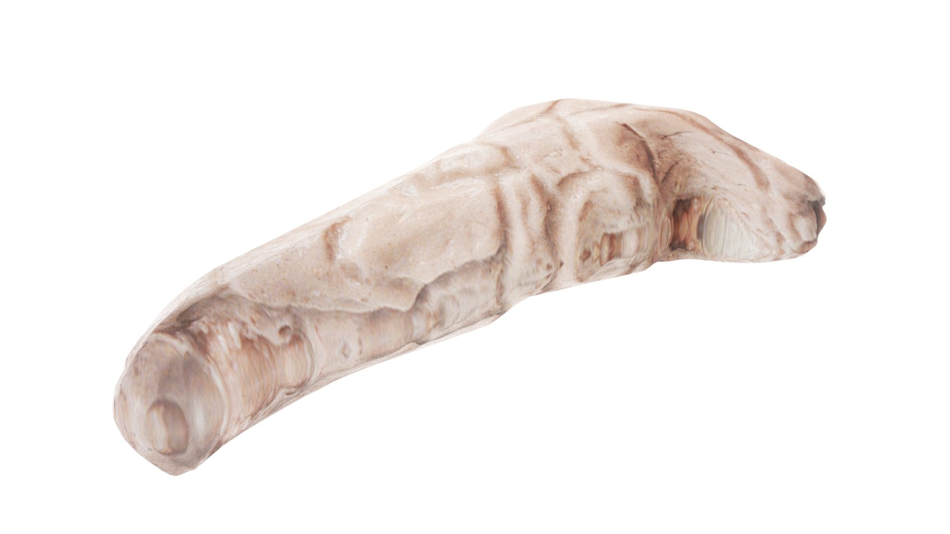 3D Pancreas With Pancreas Section model https://p.turbosquid.com/ts-thumb/4d/YFK5Ej/9c/pancreas8/jpg/1718392447/1920x1080/fit_q87/f249b1bbbdaca0a9bb6bb55ce09161908c33b807/pancreas8.jpg