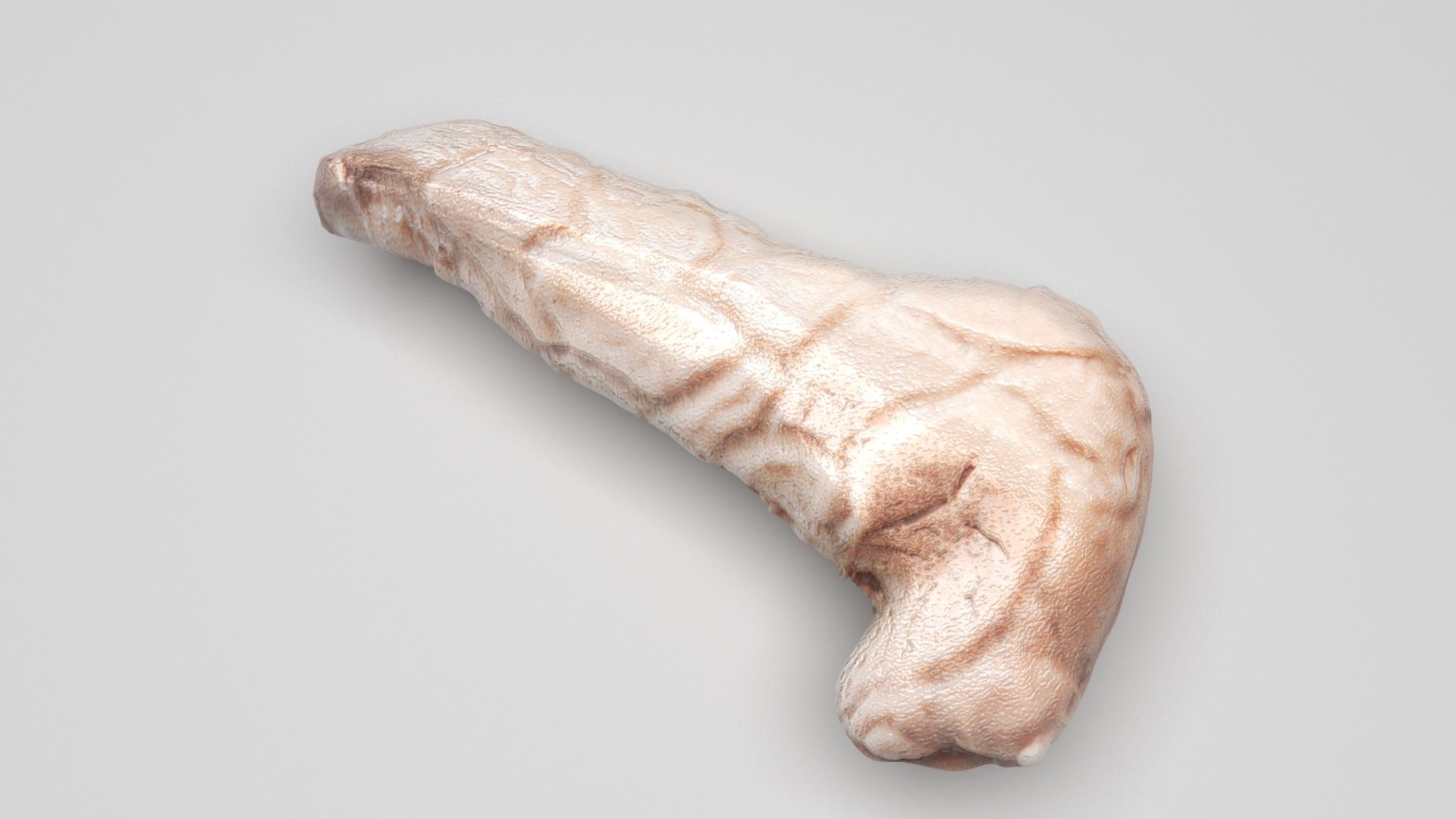 3D Pancreas With Pancreas Section model https://p.turbosquid.com/ts-thumb/4d/YFK5Ej/hy/pancreas2/jpg/1718392450/1920x1080/fit_q87/48adfc0dbc18aec6879c1f5abf456a5f8595b74e/pancreas2.jpg